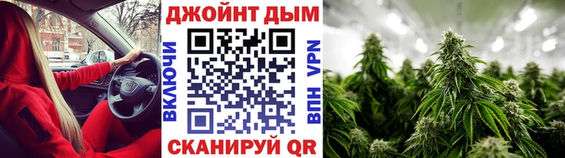 купить наркотик  Ессентукская  Бошки марихуана тримм 